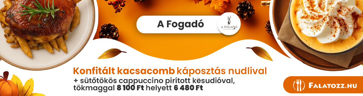 HAVI_NOV_ŐSZI_AFOGADO_BICSKE