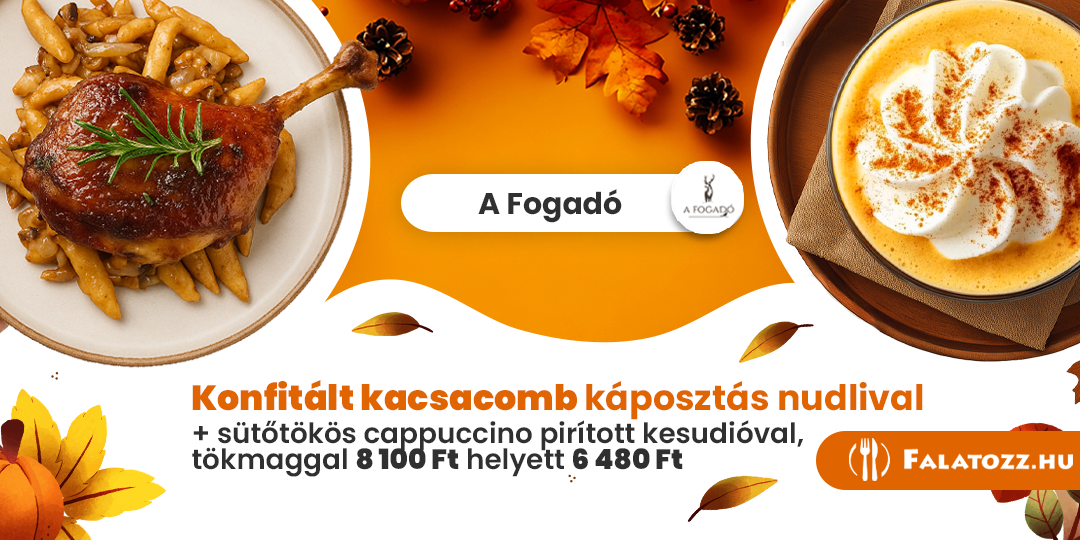 HAVI_NOV_ŐSZI_AFOGADO_BICSKE