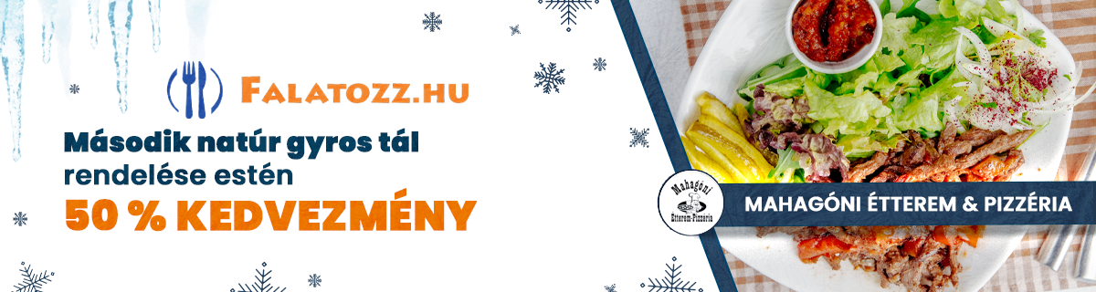 HAVI_JAN_MAHAGÓNI_GYROS Tál