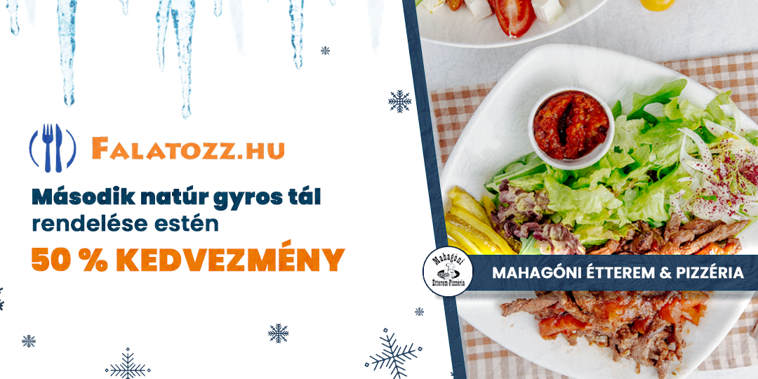 HAVI_JAN_MAHAGÓNI_GYROS Tál