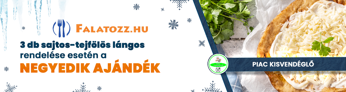 HAVI_JAN_PIAC KISVENDÉGLŐ