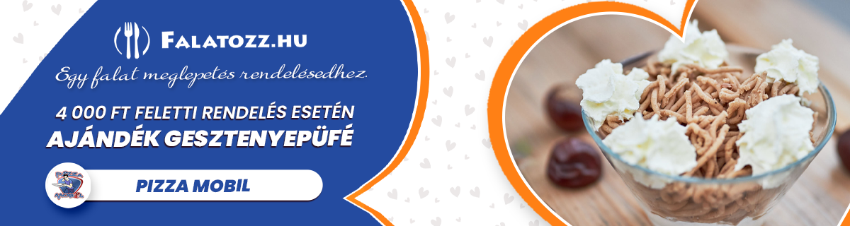 HAVI_FEB_PIZZA MOBIL_GESZTENYEPURE