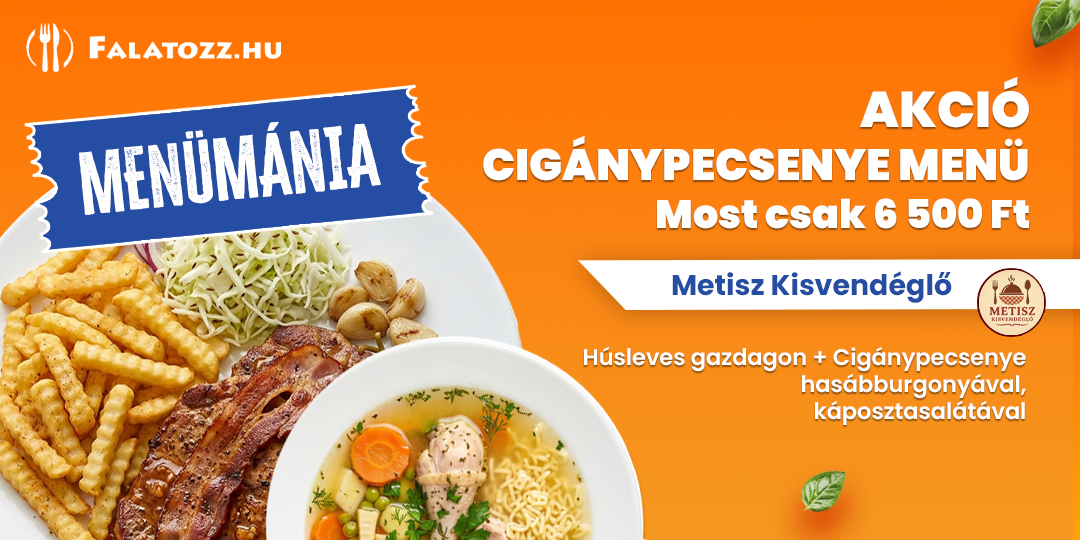 HAVI_26SZEPT_METISZ_VESZPREM