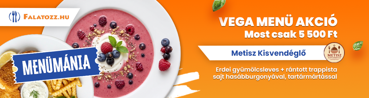 HAVI_26SZEPT_METISZ_VESZPREM