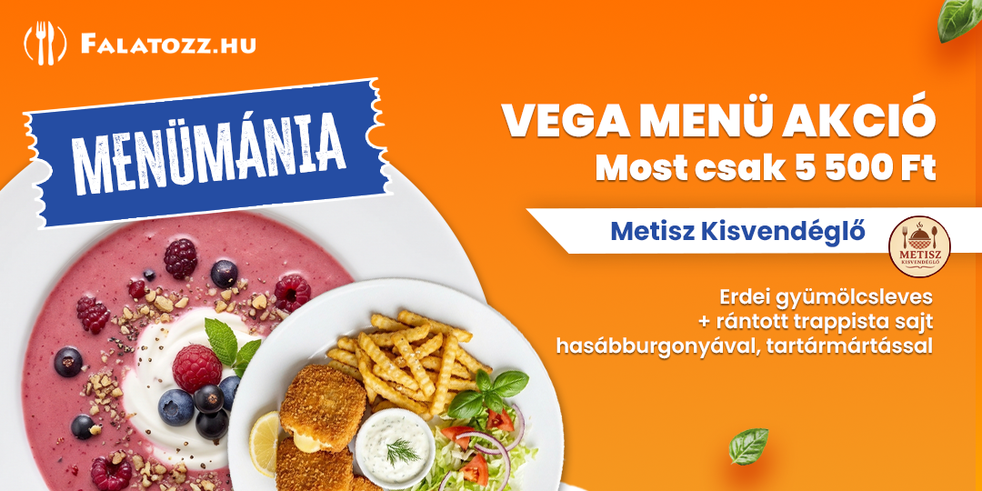 HAVI_26SZEPT_METISZ_VESZPREM