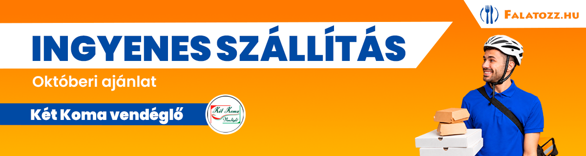HAVI_26OKT_KET_KOMA_VENDEGLO_NYIREGYHAZA