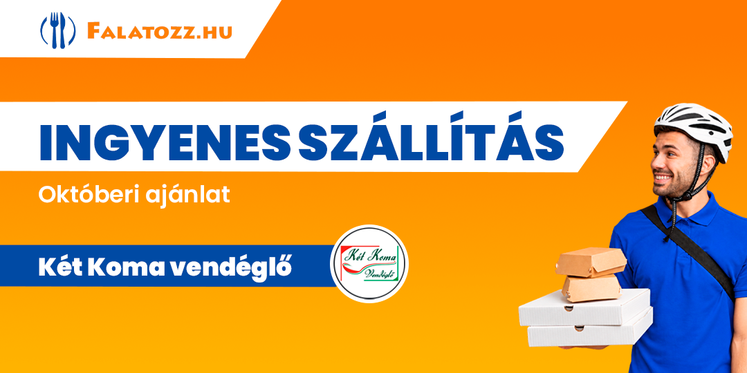 HAVI_26OKT_KET_KOMA_VENDEGLO_NYIREGYHAZA