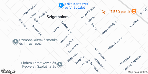 Nyírségi Pizzéria & Gyros