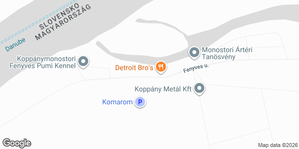 Detroit Bro's